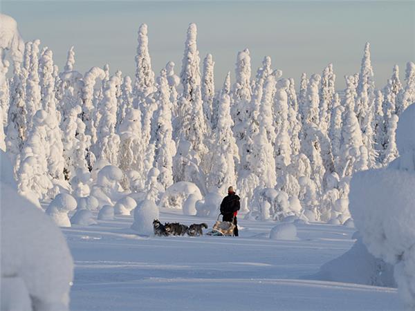 Finland winter activity holiday & Northern Lights