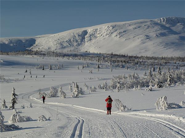 Venabu cross country skiing holiday in Norway