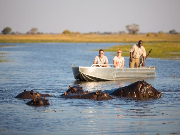 Botswana wildlife adventure