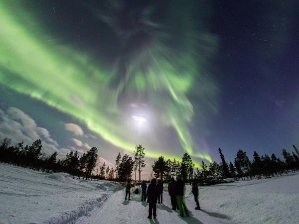Northern Lights short break in Nellim, Finland