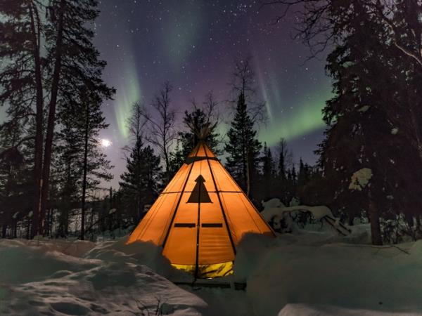 Northern Lights and wildlife holiday in Swedish Lapland